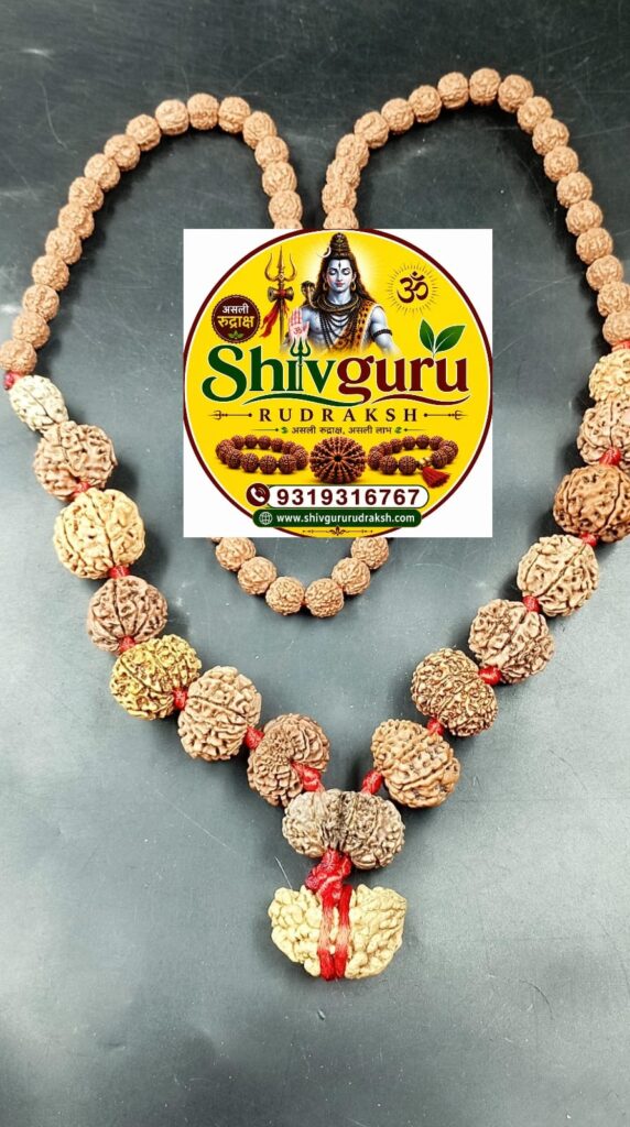 shivguru111111 (1)