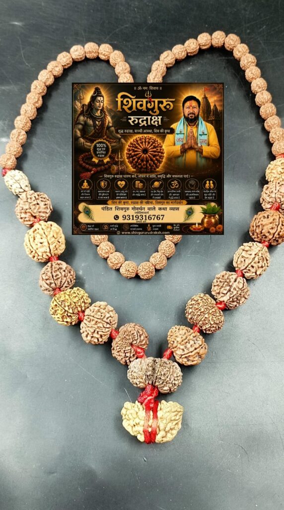shivguru111111 (3)